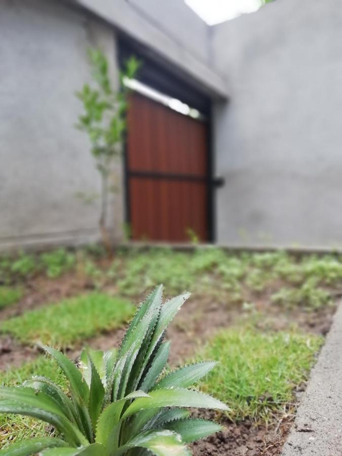 Ella Delightful Surround Homestay Exteriör bild